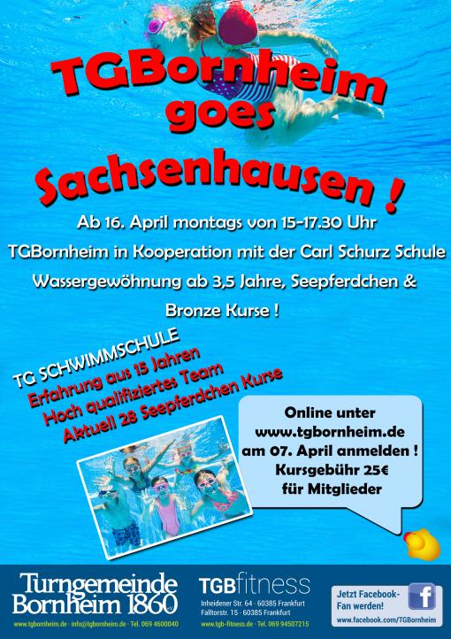Turngemeinde Bornheim 1860 e.V. Website